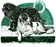 The Newfoundland Club logo